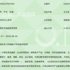 北京灵动一百软件有限责任公司审计咨询服务指南