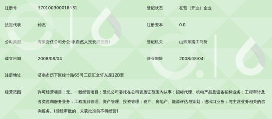 山东衡天咨询济南分公司 专业审计咨询服务的价值与实践