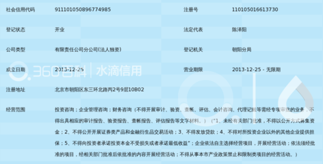 友众信业金融信息服务(上海)北京科奥投资咨询分公司审计咨询服务解析