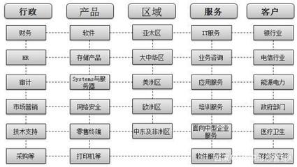 杨少杰解读IBM网状-多维矩阵型组织结构及其审计咨询服务